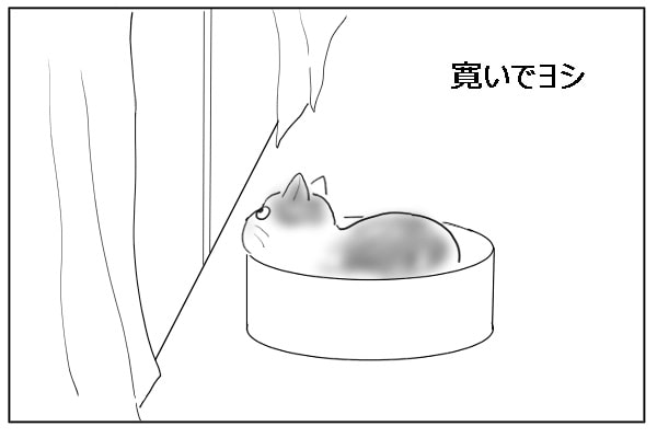 寛いでよし