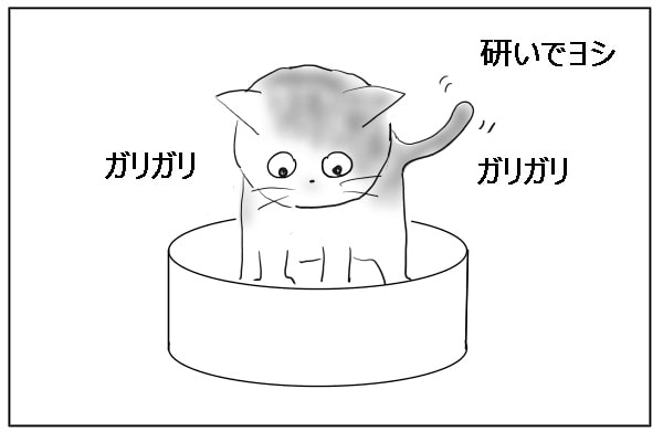 研いでよし