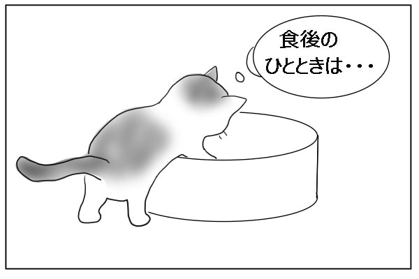 食後のひととき