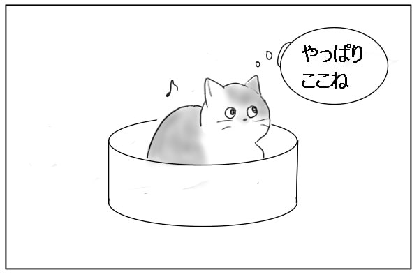 くつろぐ猫