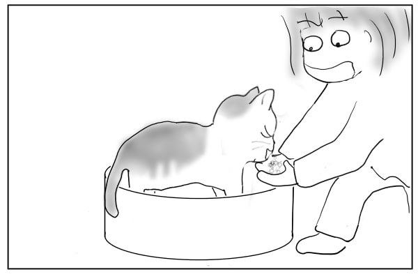 キャッチ