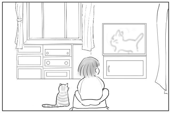 テレビを見る人と猫