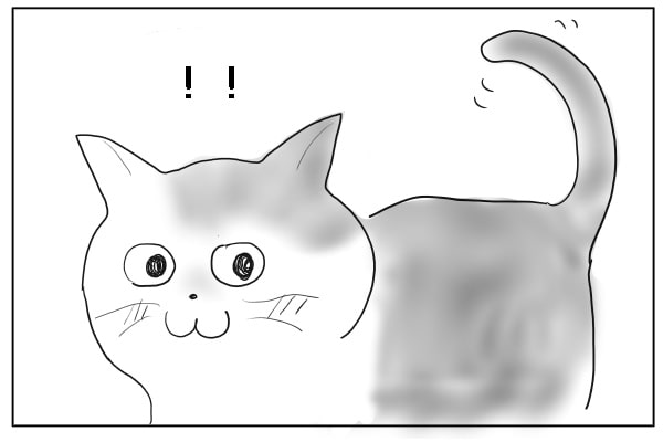 チャンス
