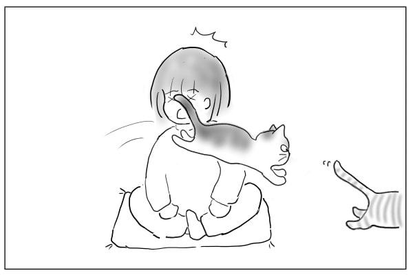 追いかける猫