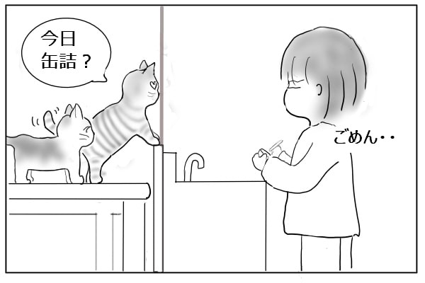 飛んできた猫