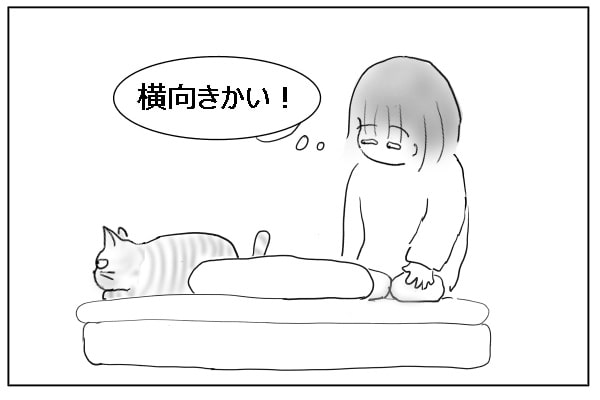 一緒に寝たい猫