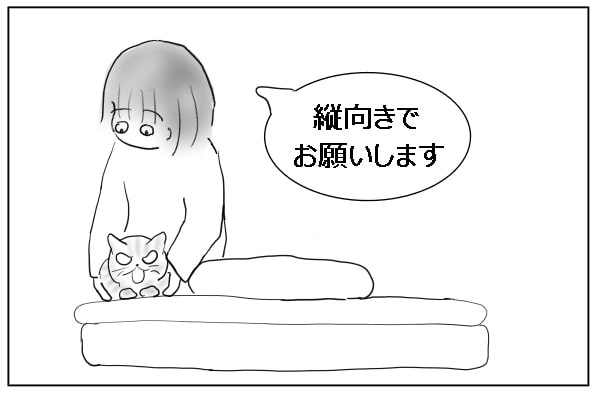 猫を動かす