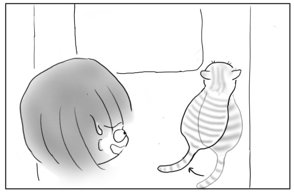 戻る猫