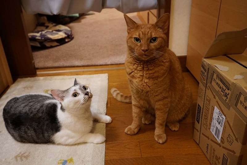 玄関にて