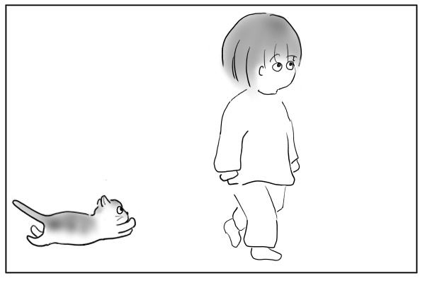 追いかける猫