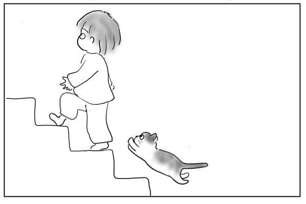 階段を上がる猫