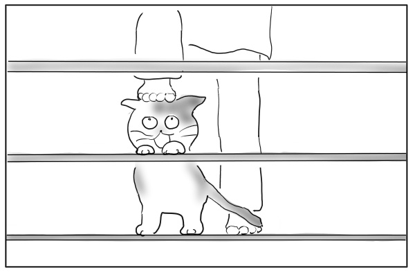 猫を踏む