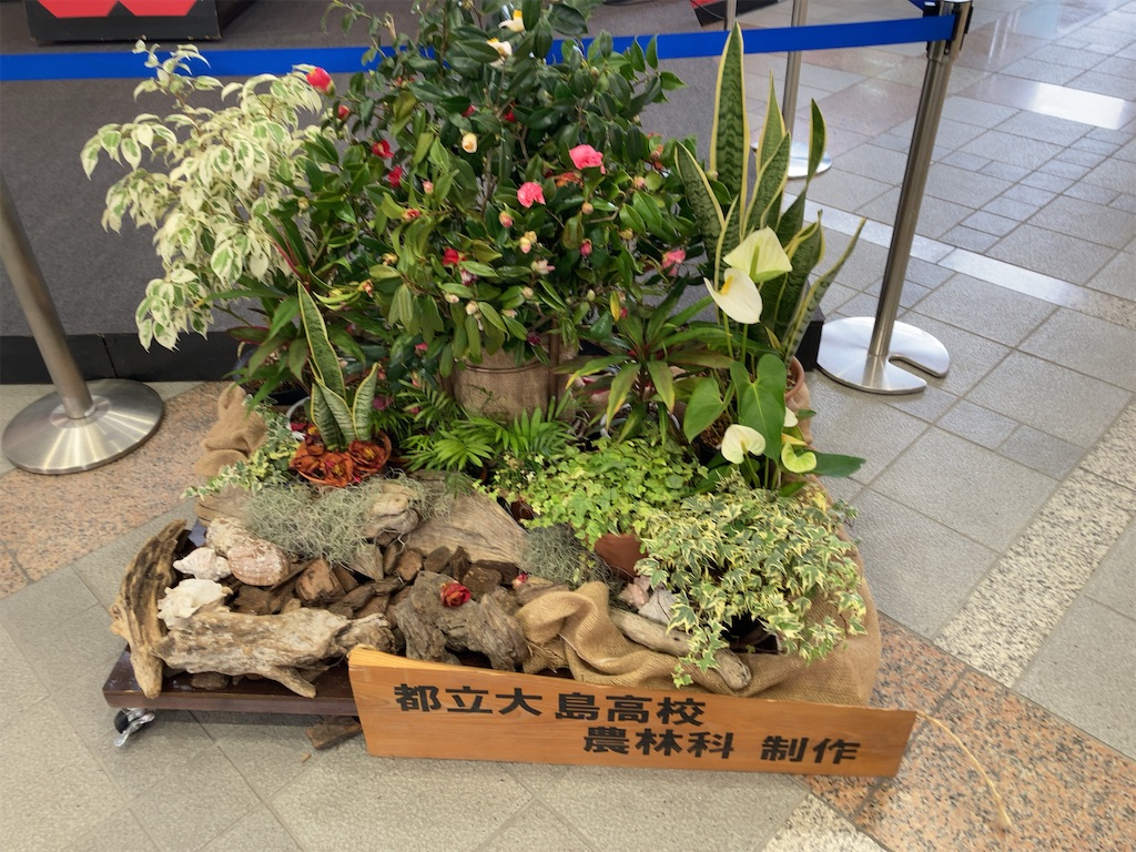 f:id:daidaiiroo:20230206233809j:image