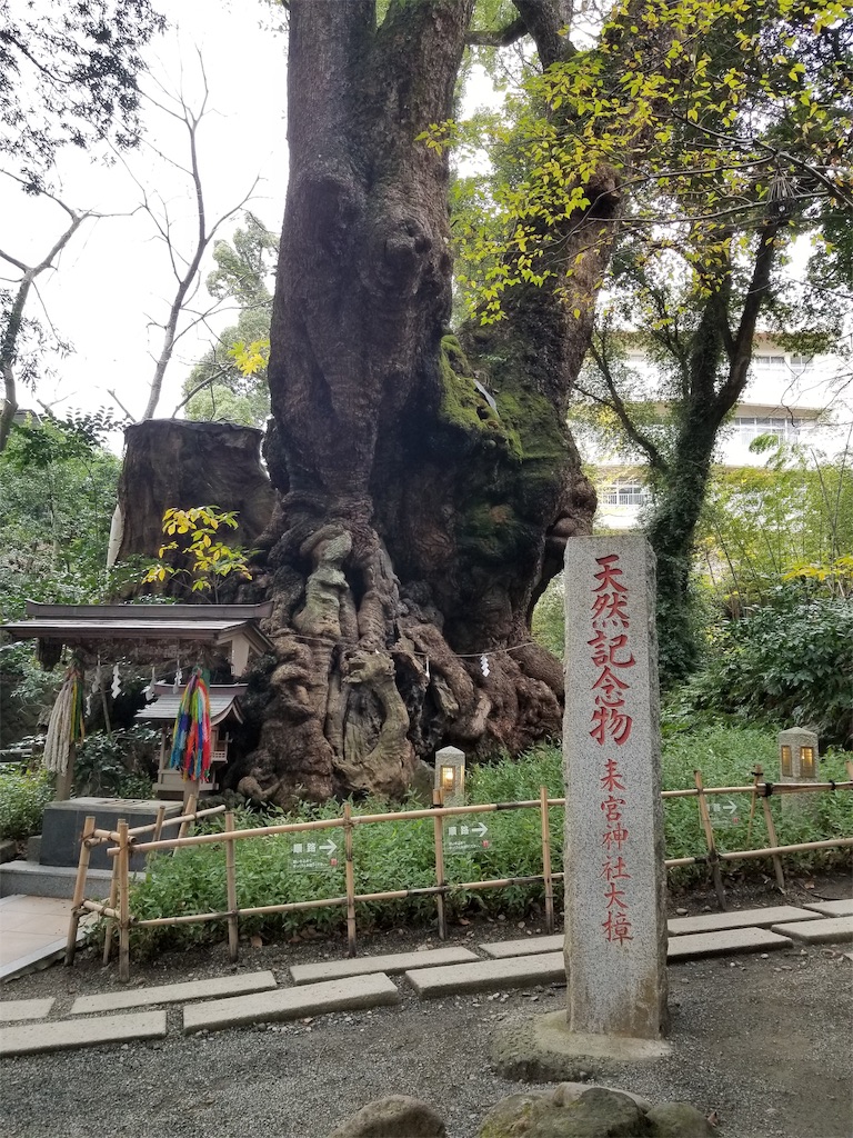 f:id:daidairi:20181220140921j:image