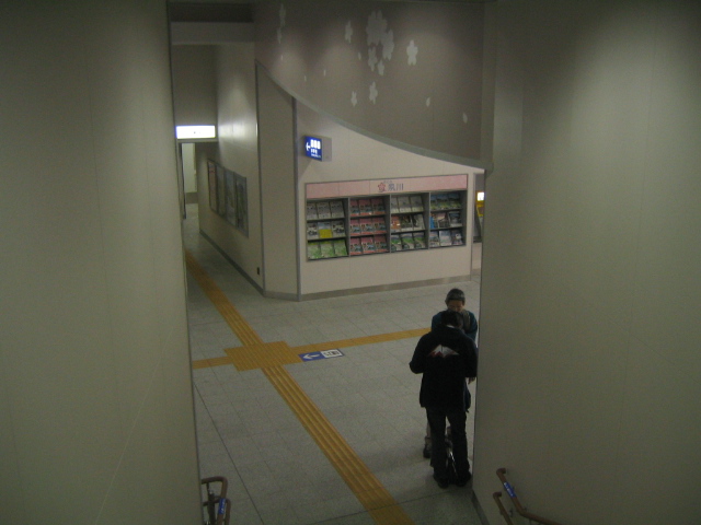 イメージ 8