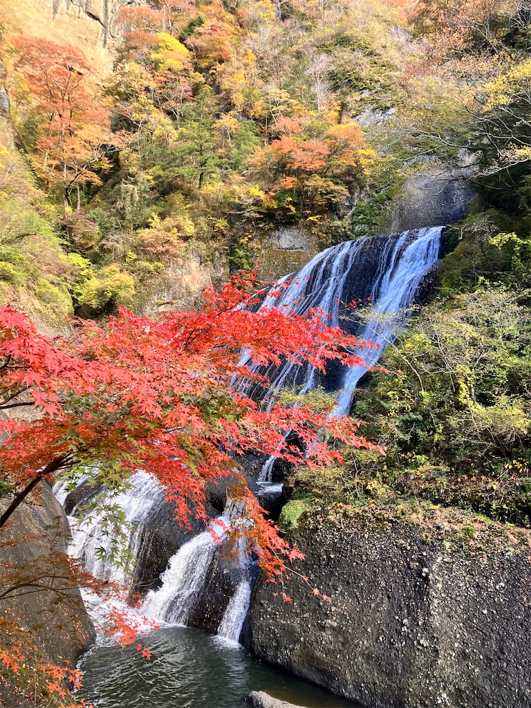 f:id:daidutusama:20251130113318j:image