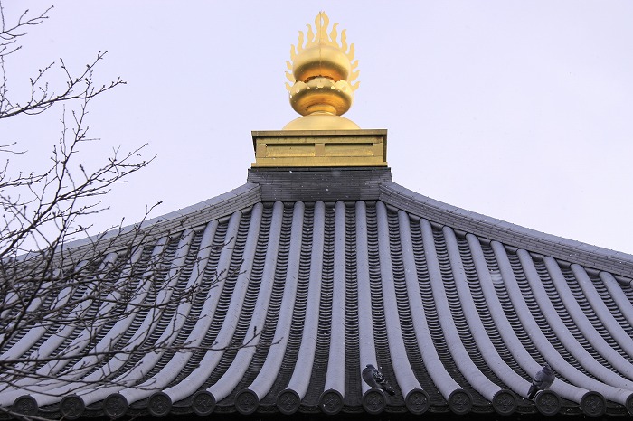 f:id:daieibrand:20180206163940j:plain f:id:daieibrand:20180206163940j:plain