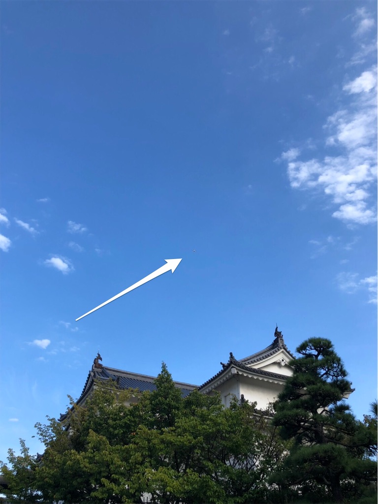 f:id:daieibrand:20180924193247j:image
