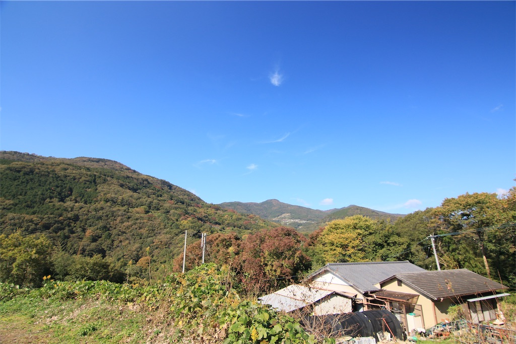 f:id:daieibrand:20181107175823j:image