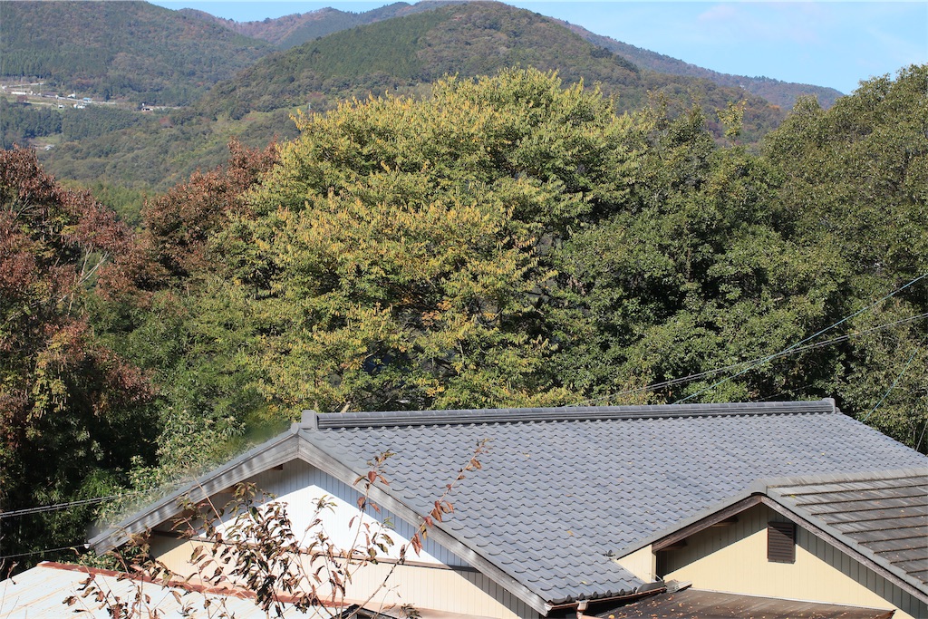 f:id:daieibrand:20181107175838j:image