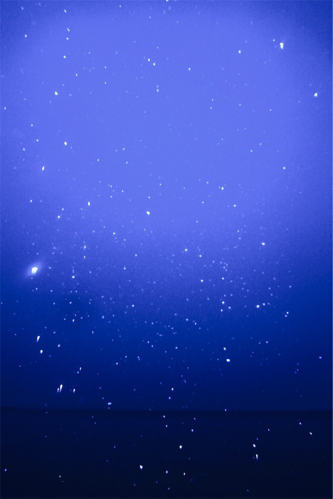 f:id:daieibrand:20181113123102j:image