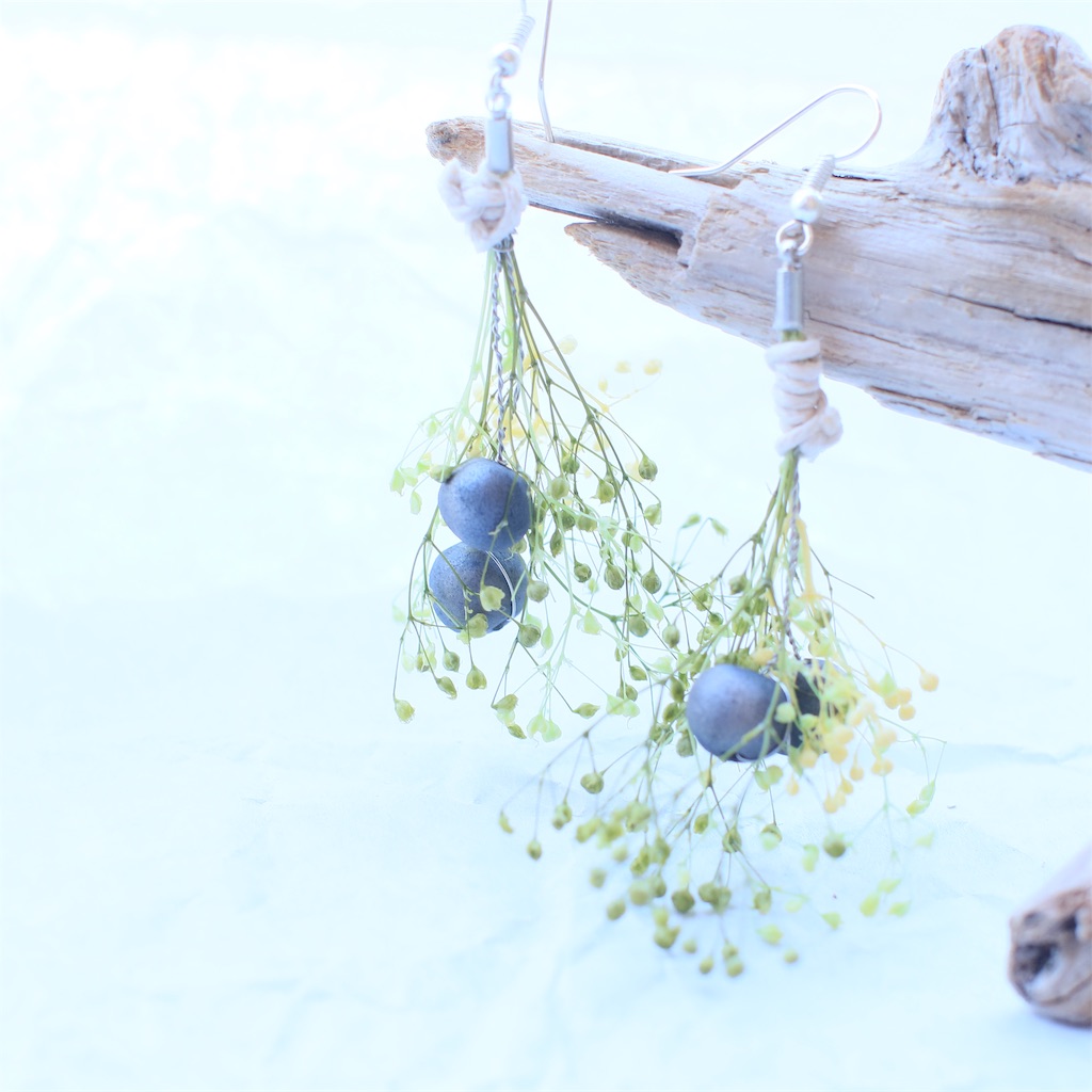 f:id:daieibrand:20190308230211j:image