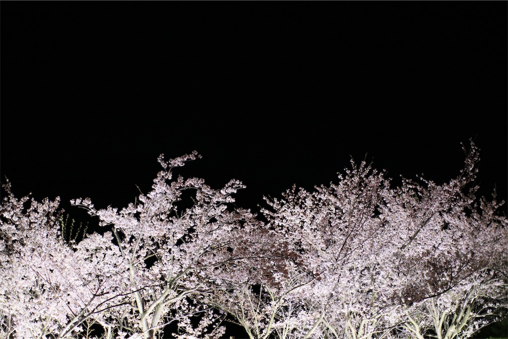f:id:daieibrand:20190408205738j:image