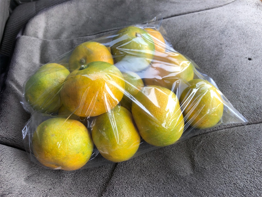 f:id:daieibrand:20191001120951j:image