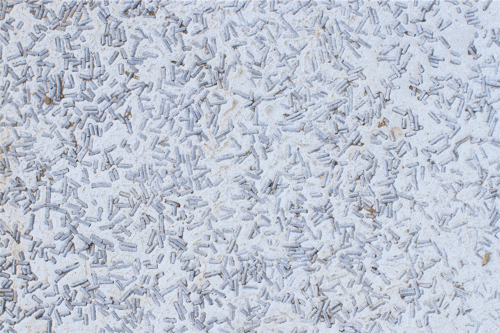 f:id:daieibrand:20191104162136j:image