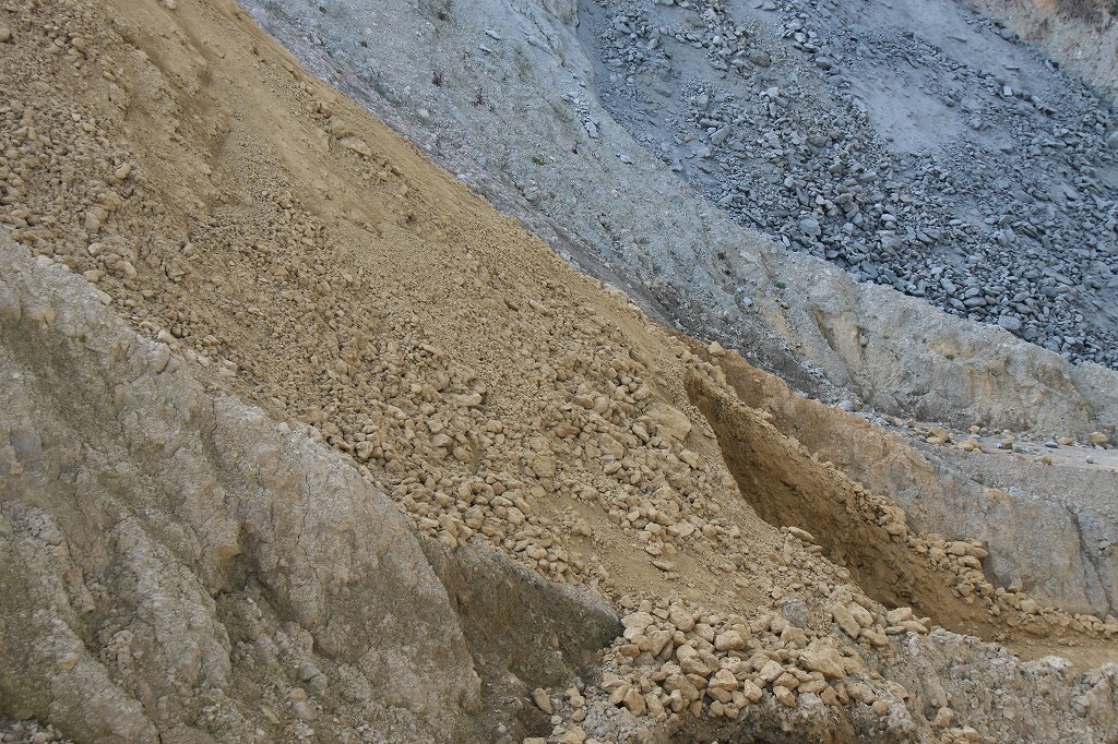 f:id:daieibrand:20200124132924j:image f:id:daieibrand:20200124132924j:image