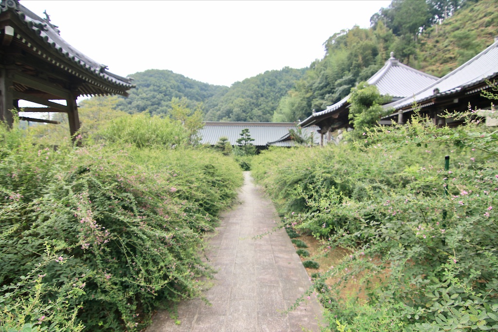 f:id:daieibrand:20200909155931j:image