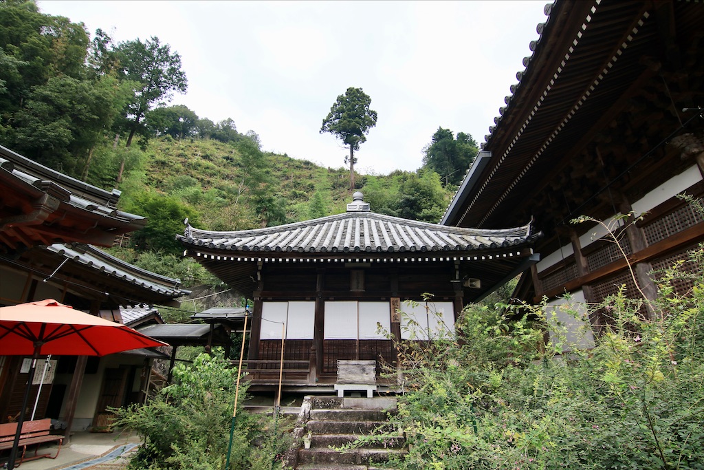 f:id:daieibrand:20200909160028j:image