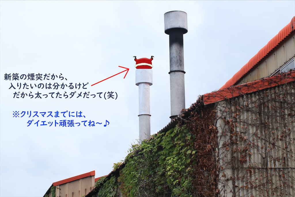 f:id:daieibrand:20200926143517j:image