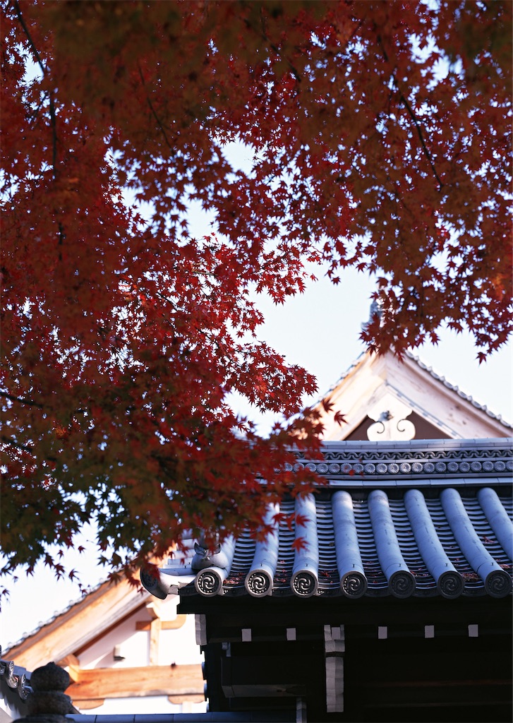 f:id:daieibrand:20201121173807j:image