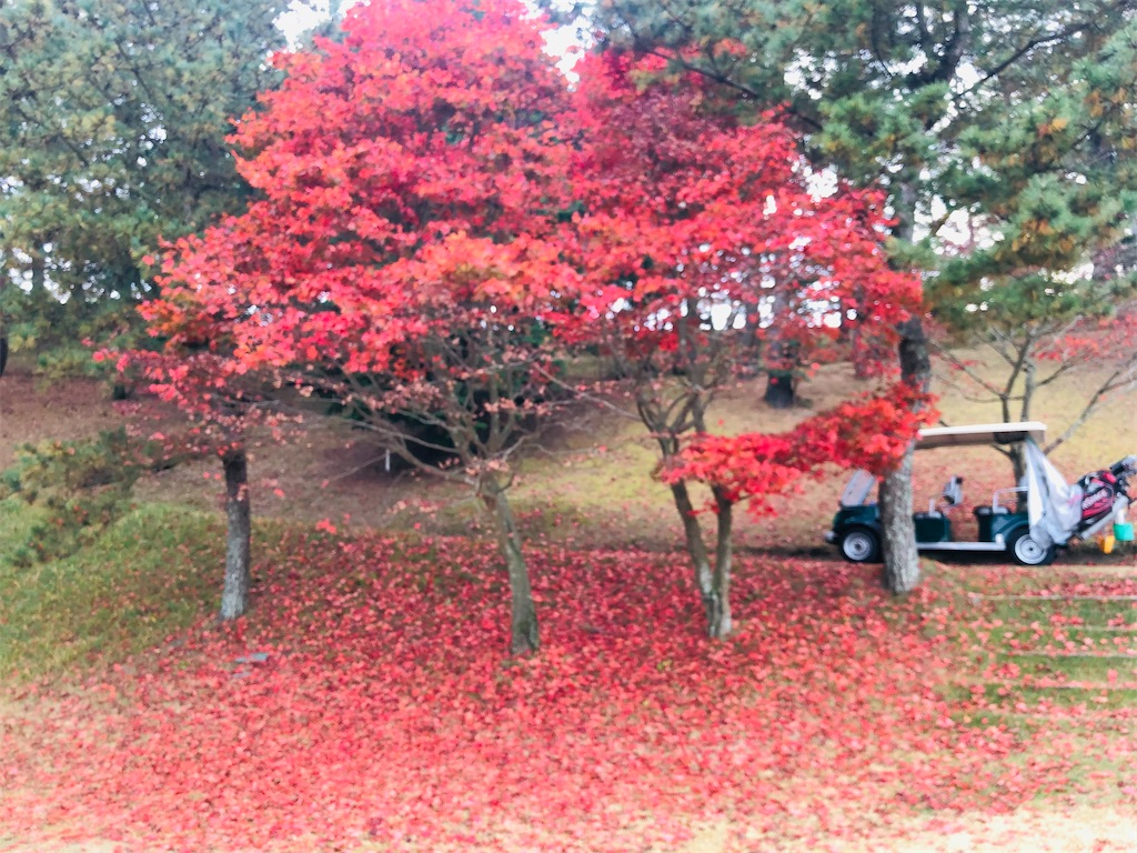 f:id:daieibrand:20201121173818j:image