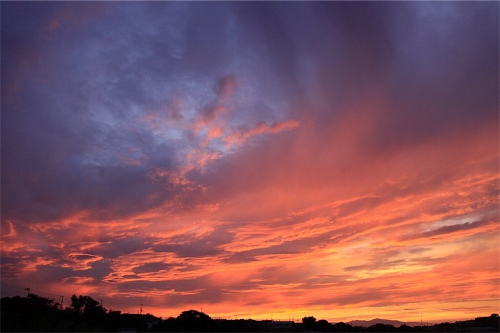 f:id:daieibrand:20201122170747j:image