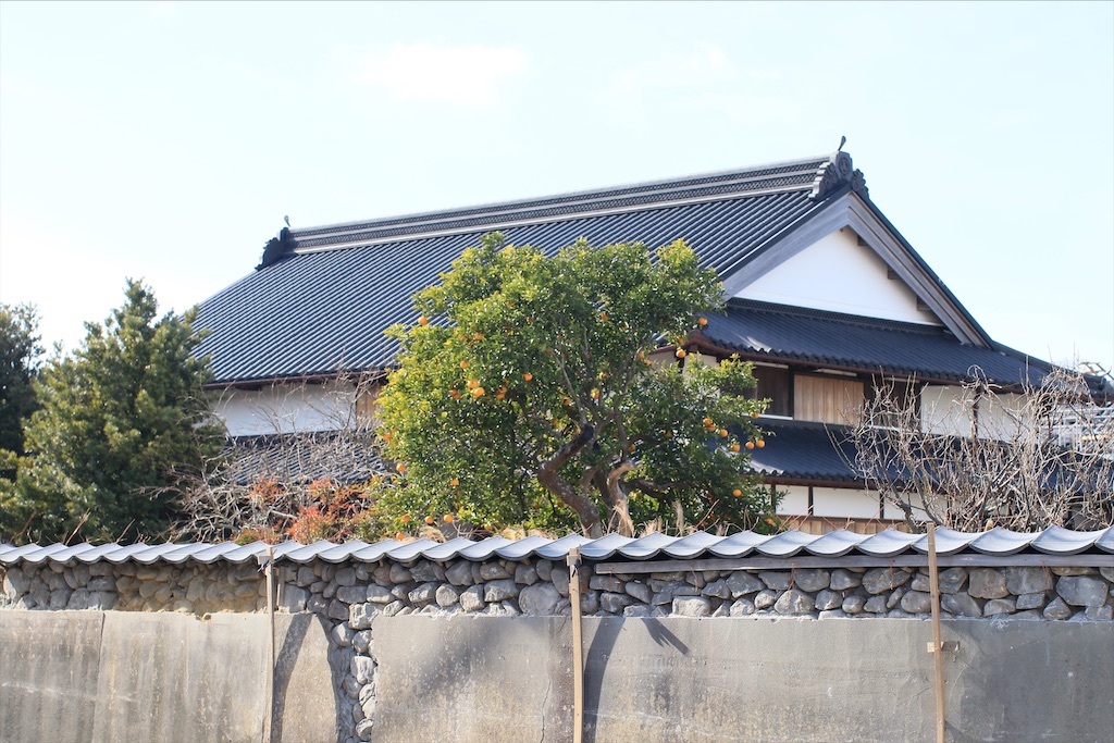 f:id:daieibrand:20210111171741j:image f:id:daieibrand:20210111171741j:image