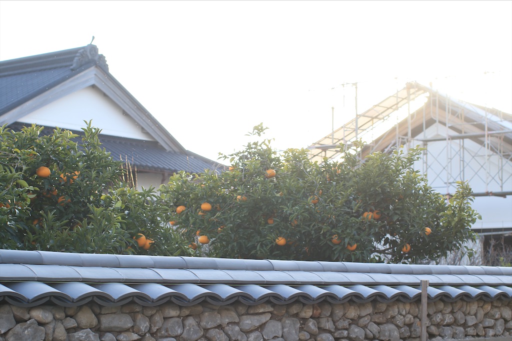 f:id:daieibrand:20210125180607j:image