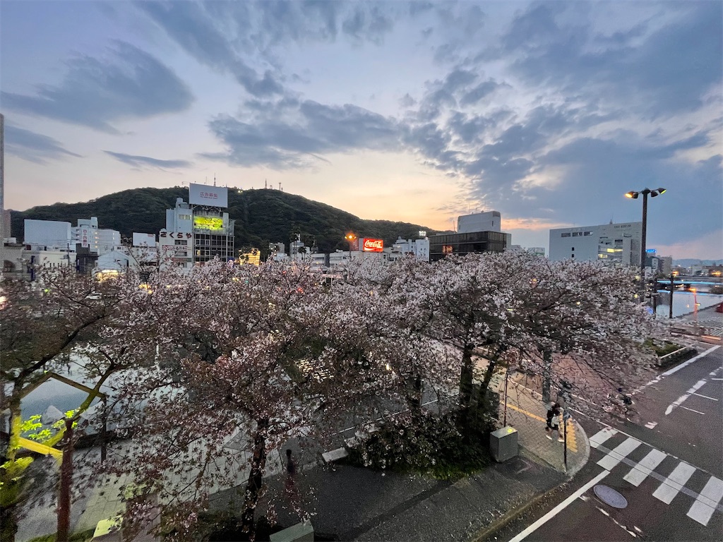 f:id:daieibrand:20210408225803j:image