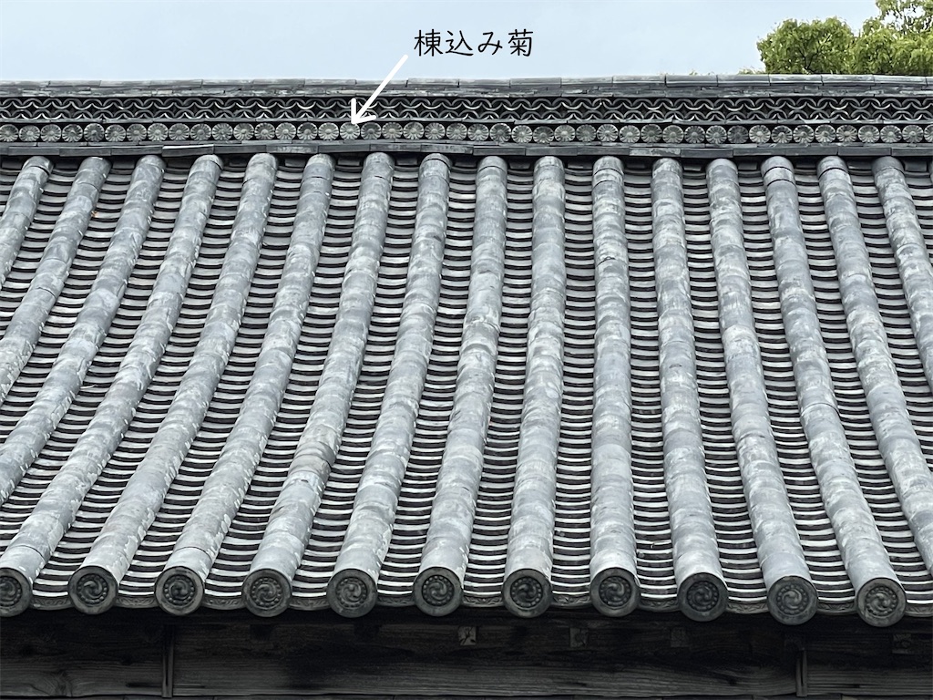 f:id:daieibrand:20210507175149j:image