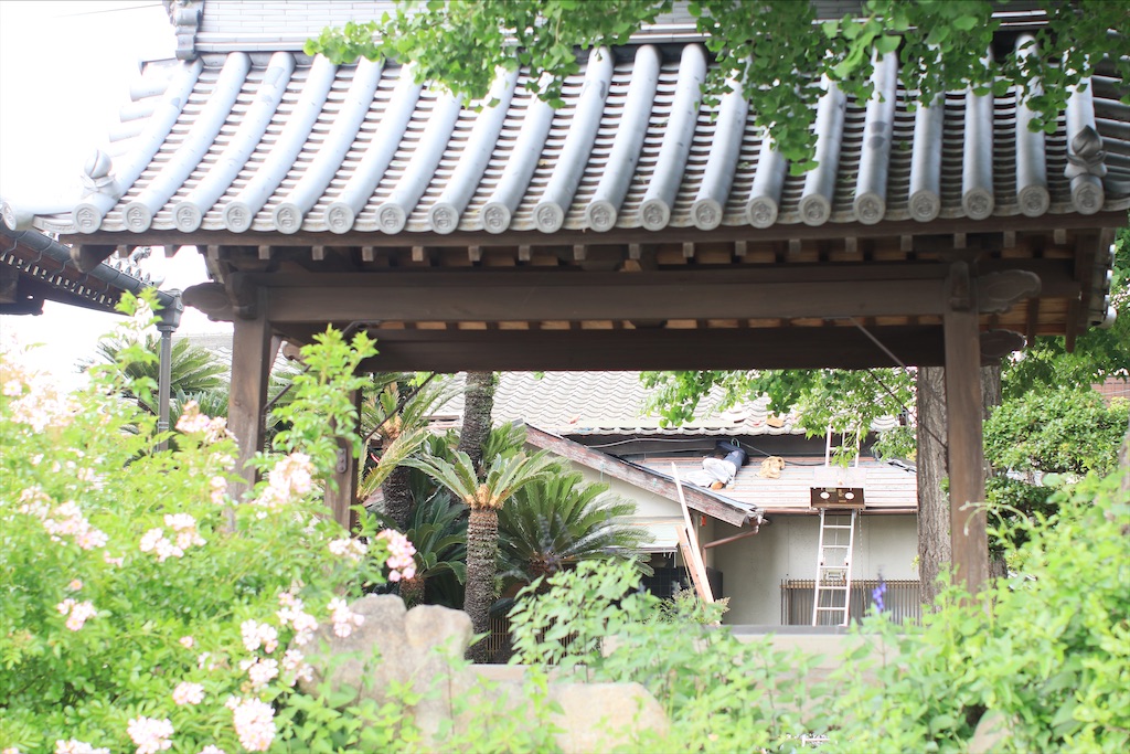 f:id:daieibrand:20210517122323j:image