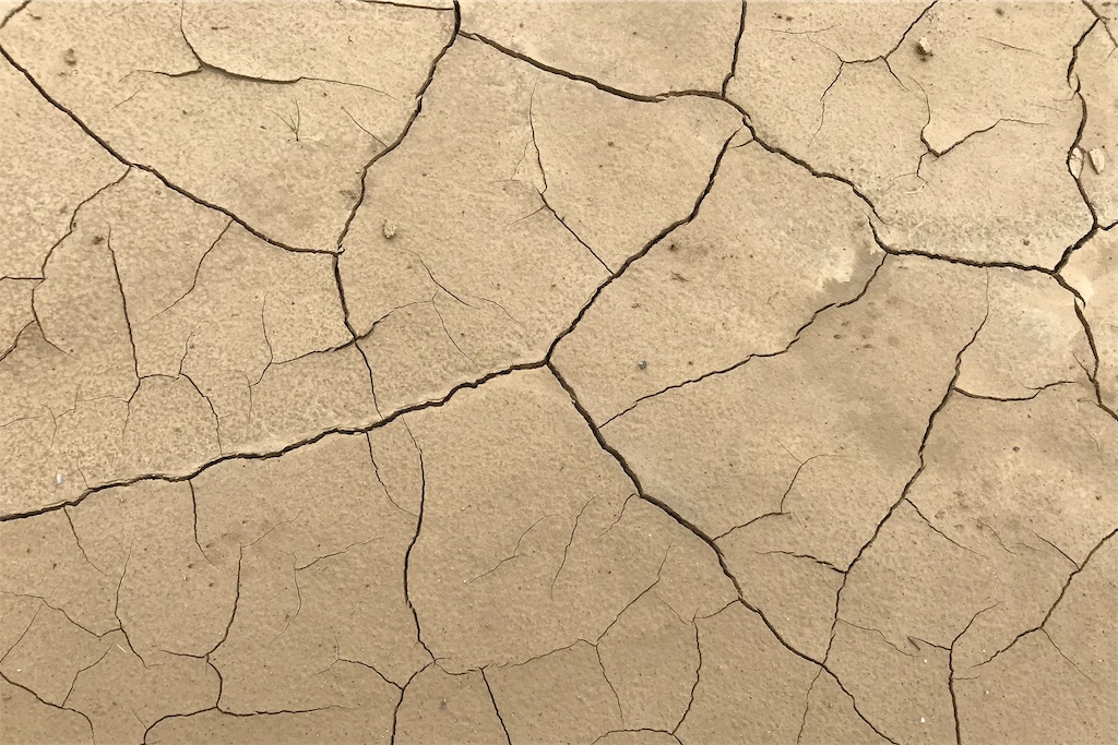 f:id:daieibrand:20210710173425j:image f:id:daieibrand:20210710173425j:image