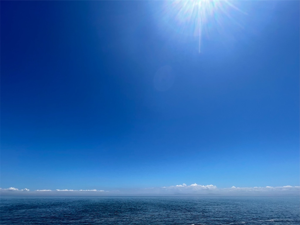 f:id:daieibrand:20210804184622j:image f:id:daieibrand:20210804184622j:image