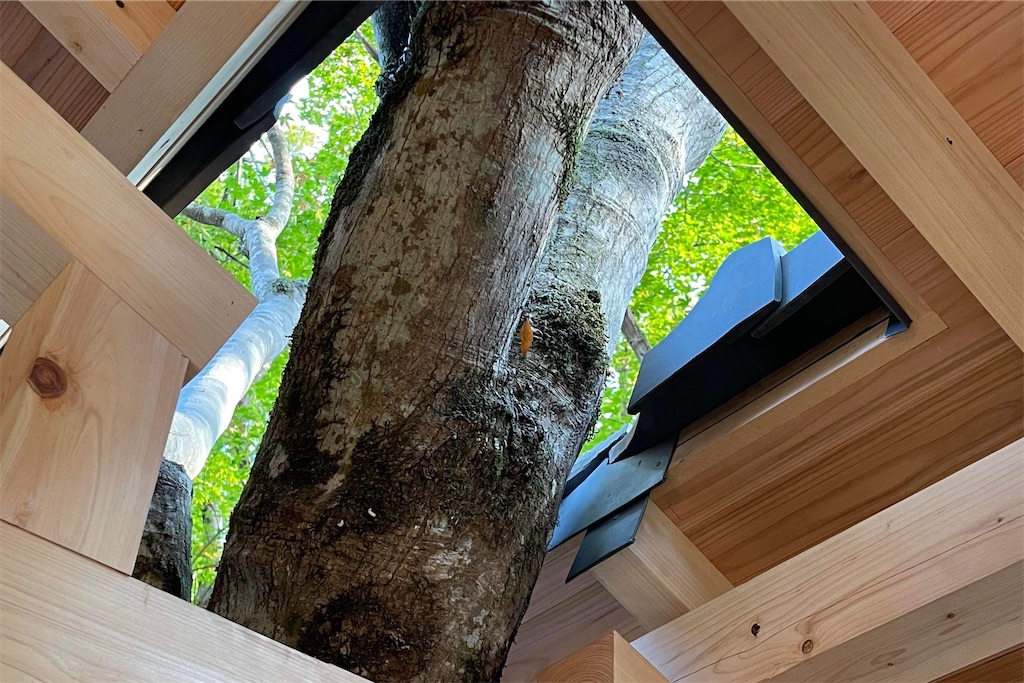 f:id:daieibrand:20211116122526j:image