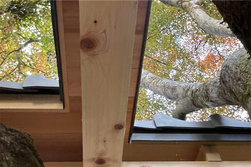 f:id:daieibrand:20211116122528j:image