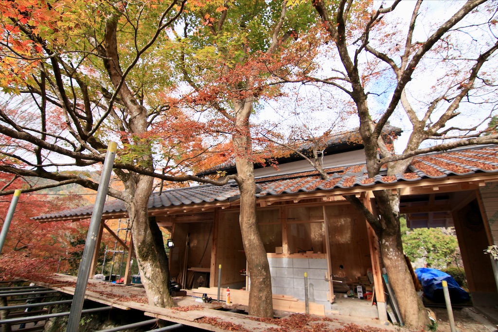 f:id:daieibrand:20211123151909j:image