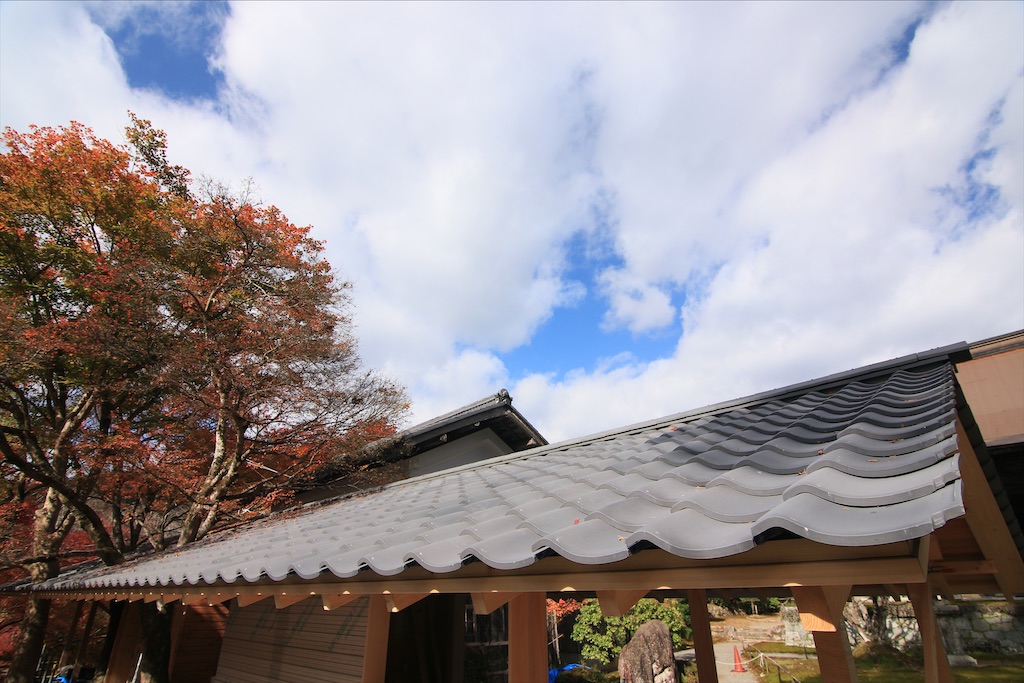 f:id:daieibrand:20211123151912j:image