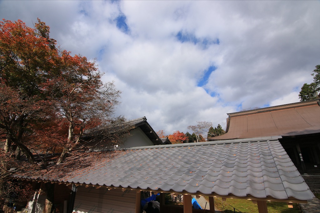 f:id:daieibrand:20211123151915j:image