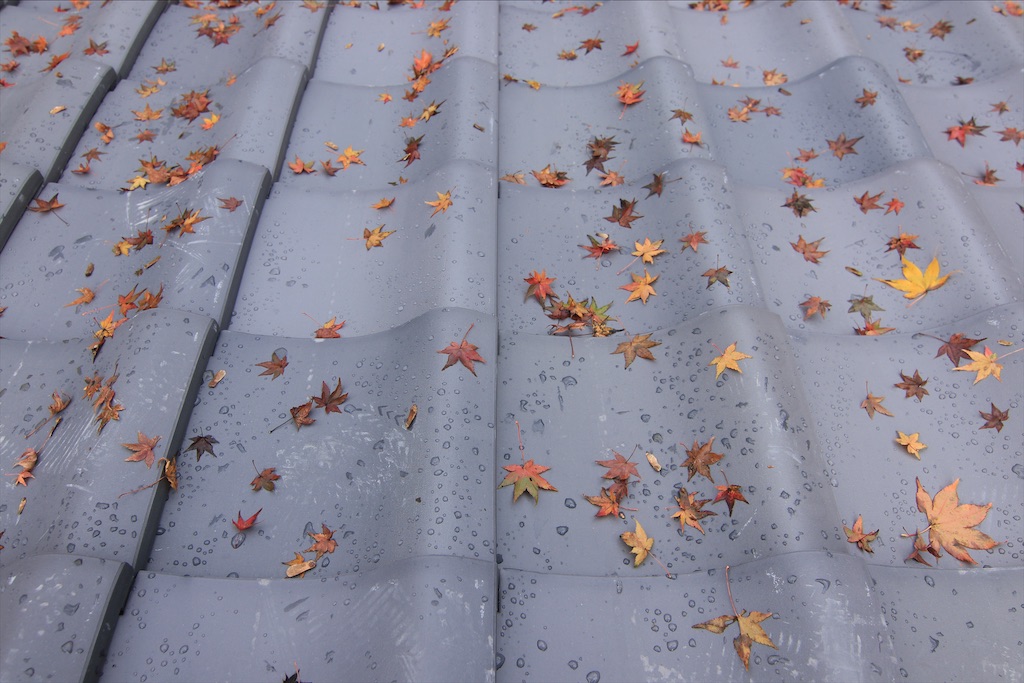 f:id:daieibrand:20211123152006j:image