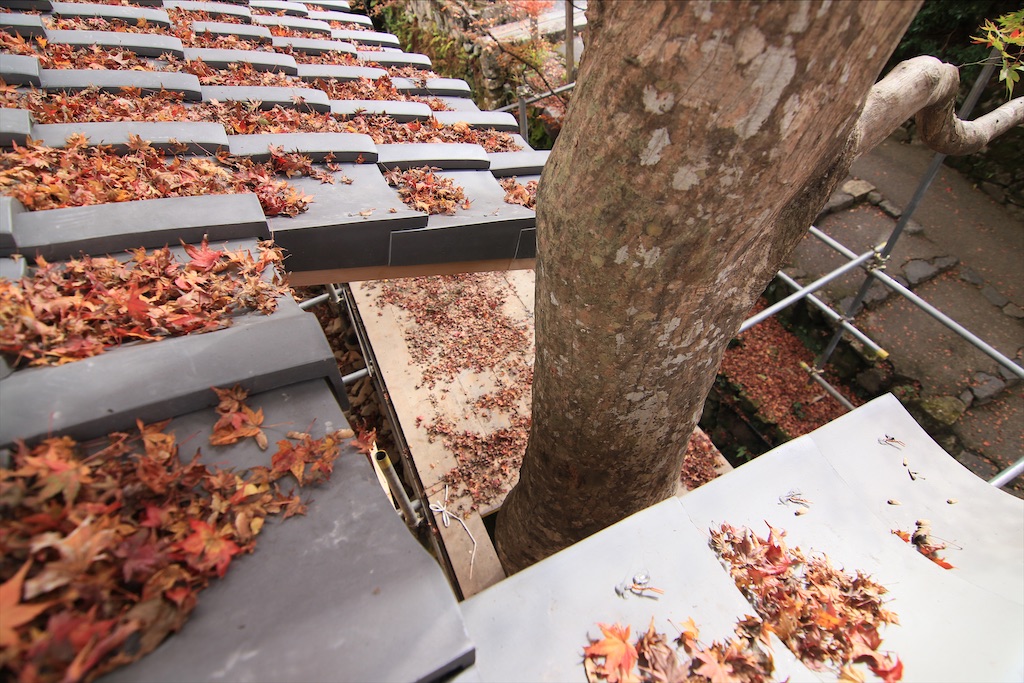 f:id:daieibrand:20211123152155j:image